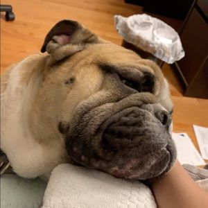 Meet your Posher, Haley